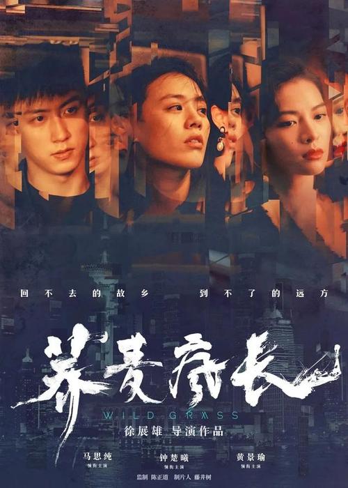 一比一仿台湾实践大学成绩单